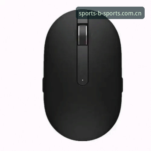 BSports体育好用吗？从数据到体验的全面评测报告